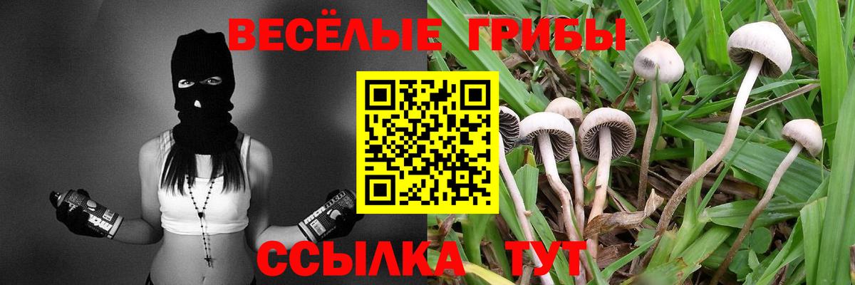 Сегежа  Галлюциногенные грибы ЛСД  Вход с VPN  Галлюциногенные грибы MAGIC MUSHROOMS 