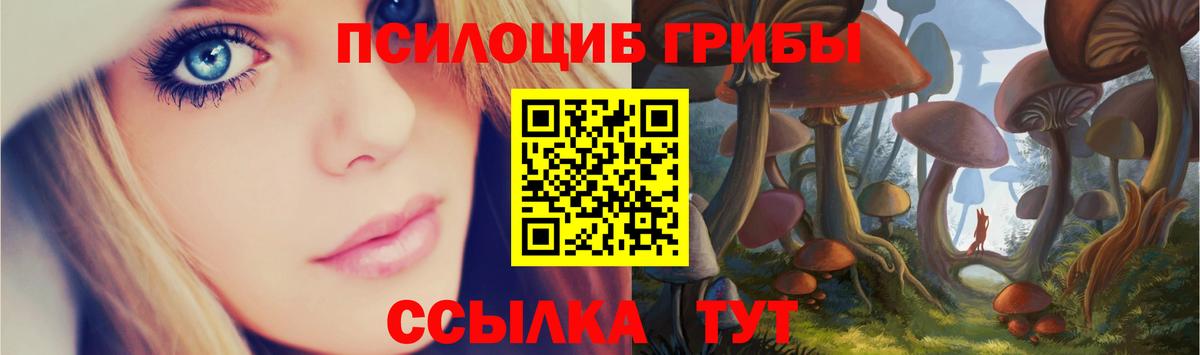 Псилоцибиновые грибы MAGIC MUSHROOMS Сегежа